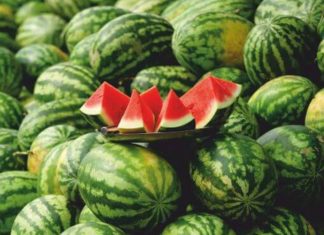 Aproveche al Máximo la Cáscara de la Patilla