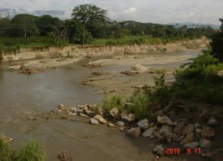Arena de ecocidas y asesinos