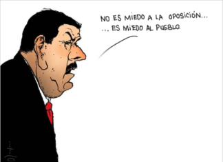 El rumor de la caída