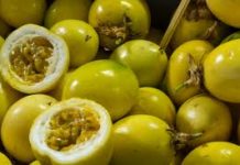 Cómo Aprovechar la Cáscara de la Parchita o Maracuyá