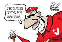 Crimen organizado psuvista