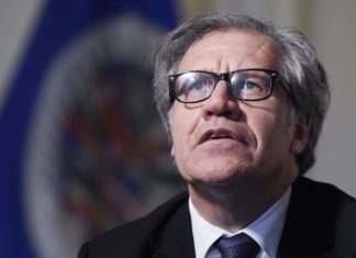 La membresía disfuncional de la OEA y su Secretario General