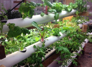 General Hydroponics