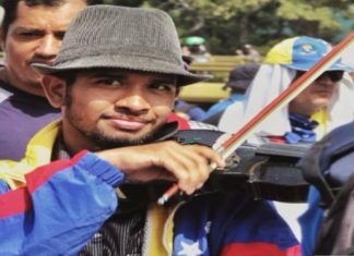 El violinista de la libertad escribe: ¿Cachicamo al morrocoy?