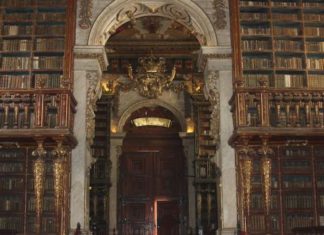 Los murciélagos ayudan a conservar la antiquísima Biblioteca de Coimbra