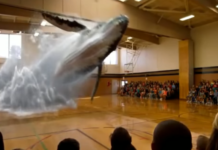 Los hologramas cumplen 70 años: de la lámpara de mercurio a la nano holografía