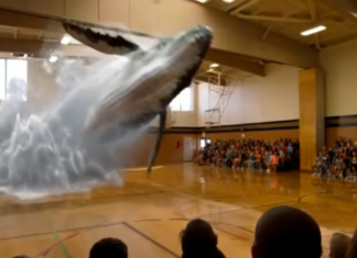 Los hologramas cumplen 70 años: de la lámpara de mercurio a la nano holografía