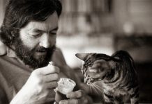 Continuidad de los parques por Julio Cortázar