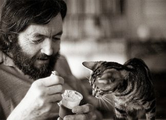 Continuidad de los parques por Julio Cortázar