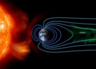 Descubren huellas de la vida terrestre en la Luna