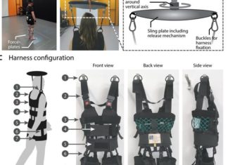 Diseñado un arnés robótico que ayuda a recuperar la capacidad de caminar tras un ictus