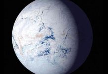 Un gran cambio climático hizo aparecer a los animales