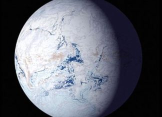 Un gran cambio climático hizo aparecer a los animales