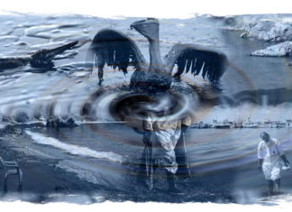 La falta de conciencia causante de desastres por Alejandra Xenofontos