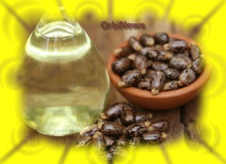 Aceite de Ricino por José Domingo Blanco