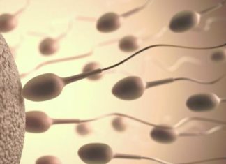 Holanda quiere un registro nacional de donantes de semen para evitar casos como el de un hombre con 102 hijos