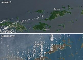 El huracán Irma deja marrones las verdes islas del Caribe