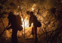 Policía y Guardia Civil no han encontrado artefactos incendiarios en los fuegos de Galicia y Asturias