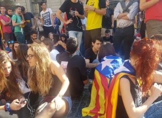 Una jornada loca en Plaza Sant Jaume
