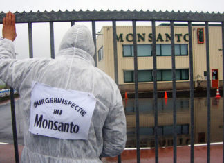 El Parlamento Europeo pide que se acabe con el herbicida glifosato en cinco años