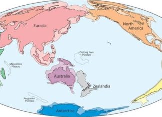 Localizan Zelandia, el octavo continente de la Tierra