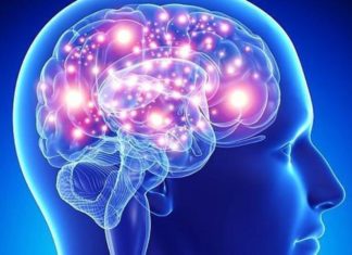 La parte del cerebro que no madura hasta los 36 años