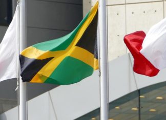 ‘Jamaica’, el as en la manga de Merkel para formar Gobierno