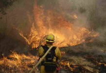 Incendios dejan 36 muertos y 90 mil desplazados en California