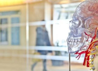 ¿En qué consiste ser inteligente?