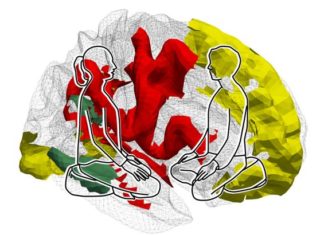 La meditación puede cambiar el cerebro en solo tres meses
