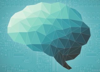 ¿Qué está haciendo Internet con nuestras mentes? Por Luis Torras