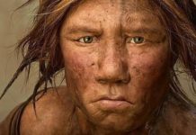 Somos aún más neandertales de lo que creíamos