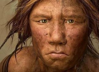 Somos aún más neandertales de lo que creíamos