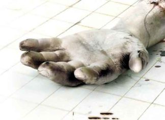 Las 20 películas más rentables de la historia del cine