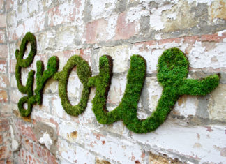 ¡Haz tu propio Eco Graffiti!