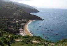 3 Orcas se dejaron ver en Chichiriviche de la Costa (Video)