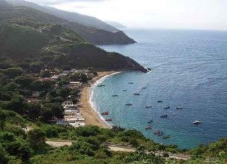 3 Orcas se dejaron ver en Chichiriviche de la Costa (Video)