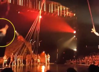 Un acróbata del Cirque du Soleil muere en pleno show en Florida