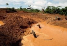 Ramón Flores, presidente del Parlamento Amazónico: “Hay que impedir la catástrofe que significa el Arco Minero del Orinoco”