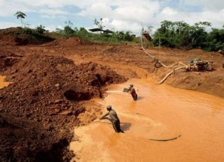 Ramón Flores, presidente del Parlamento Amazónico: “Hay que impedir la catástrofe que significa el Arco Minero del Orinoco”