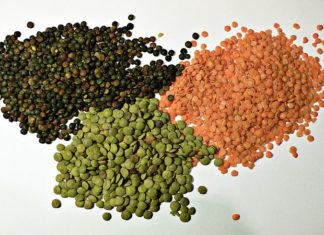 Las Prósperas y Versátiles Lentejas (1ra. Parte)