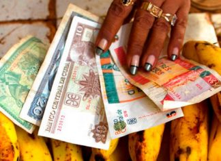 Un lagarto verde en el Caribe: algunos datos sobre Cuba