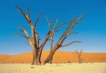 Esperanza inútil, por José Domingo Blanco @mingo_1