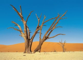 Esperanza inútil, por José Domingo Blanco @mingo_1