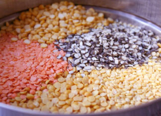 Las Prósperas y Versátiles Lentejas (2da. Parte)