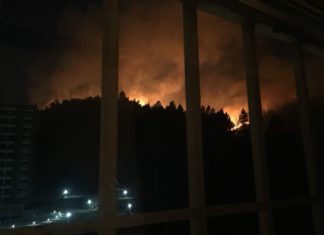 Reportan incendio en zona boscosa de la urbanización Manzanares