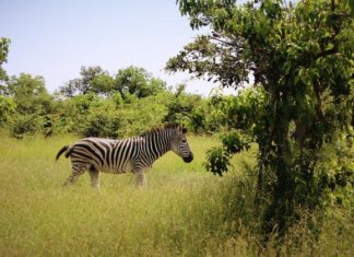 7 lugares a donde el príncipe Harry y Meghan Markle podrían ir de luna de miel