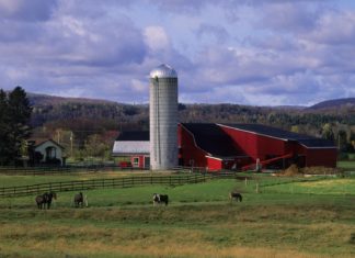 El Gobierno canadiense pide a los agricultores de Quebec que eviten malos olores durante la cumbre del G7