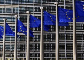 Misión de la UE visitará la frontera entre Colombia y Venezuela