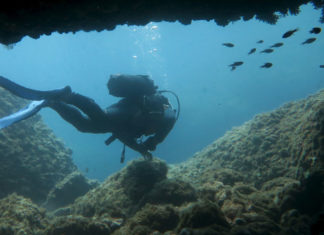 VIDEO: Hallan un avión nazi Junkers JU-52 en el fondo del mar Egeo